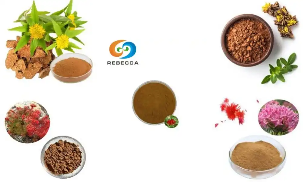 Rhodiola Rosea Extract Powder Free Sample